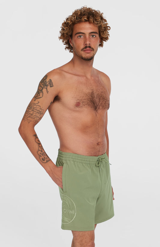 O'Riginals Cali Ocean 16'' Swim Shorts Men Avery Fern