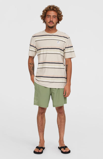 O'Riginals Cali Ocean 16'' Swim Shorts Men Avery Fern