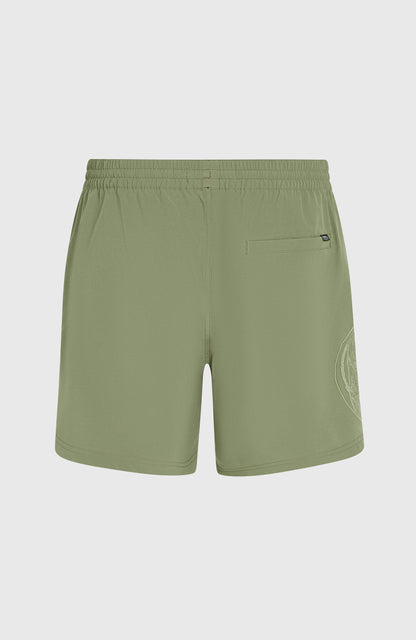 O'Riginals Cali Ocean 16'' Swim Shorts Men Avery Fern