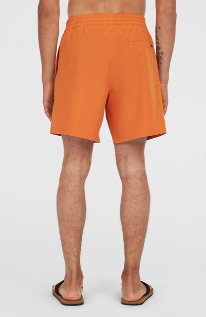 O'Riginals Cali Ocean 16'' Swim Shorts Men Cinnamon Stick