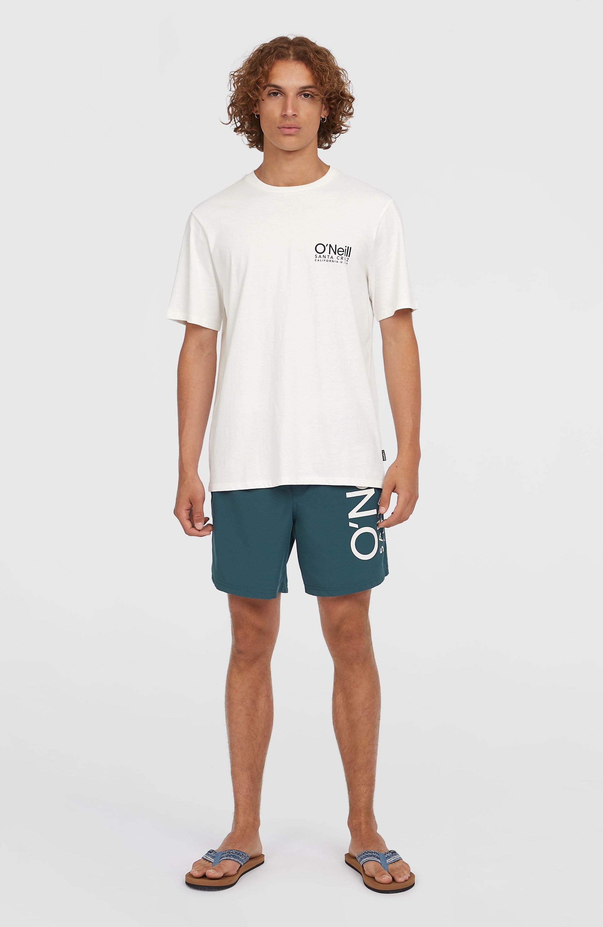 Original Cali 16'' Swim Shorts Men Alma Steel