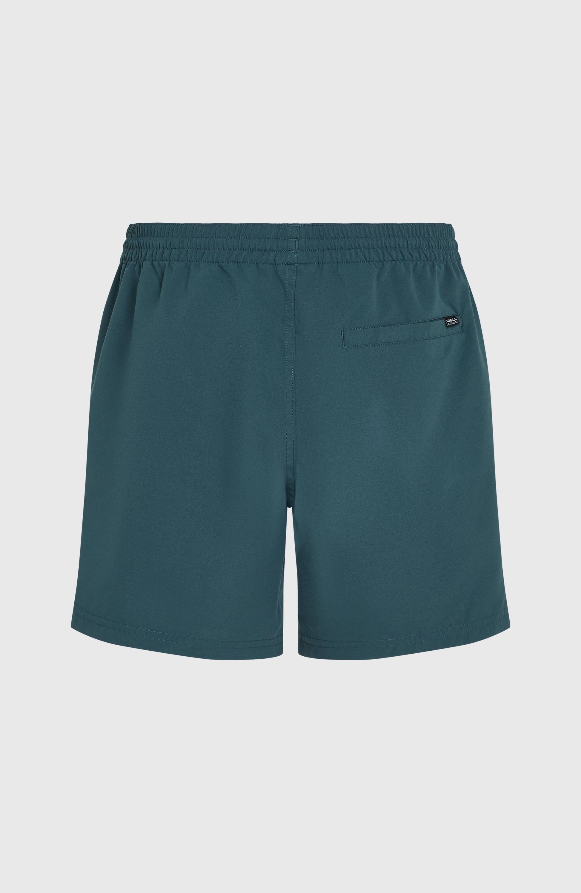 Original Cali 16'' Swim Shorts Men Alma Steel