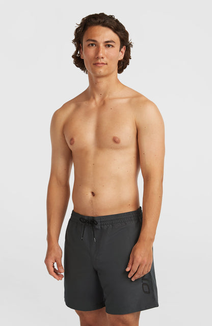 Cali 16" Swim Shorts Men Asphalt