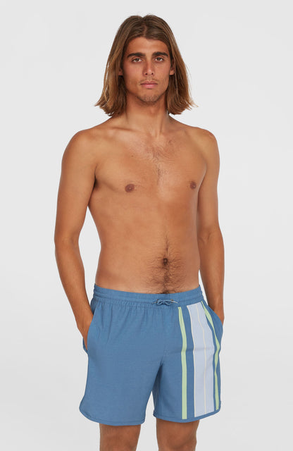 O'Riginals Scallop 16'' Swim Shorts Men Blue Originals Longboard Stripe