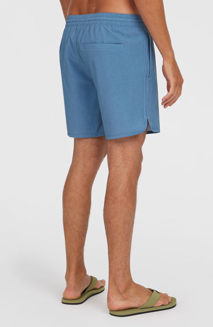 O'Riginals Scallop 16'' Swim Shorts Men Blue Originals Longboard Stripe