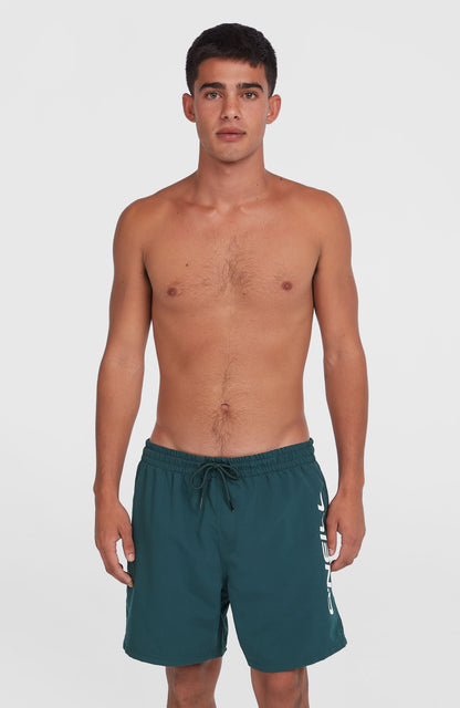 Cali 16'' Swim Shorts Men Alma Steel