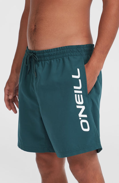 Cali 16'' Swim Shorts Men Alma Steel