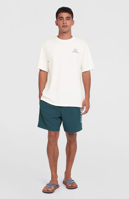 Cali 16'' Swim Shorts Men Alma Steel