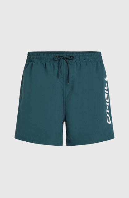Cali 16'' Swim Shorts Men Alma Steel