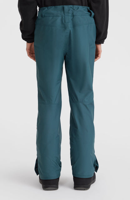 Hammer Regular Snow Pants Men Alma Steel