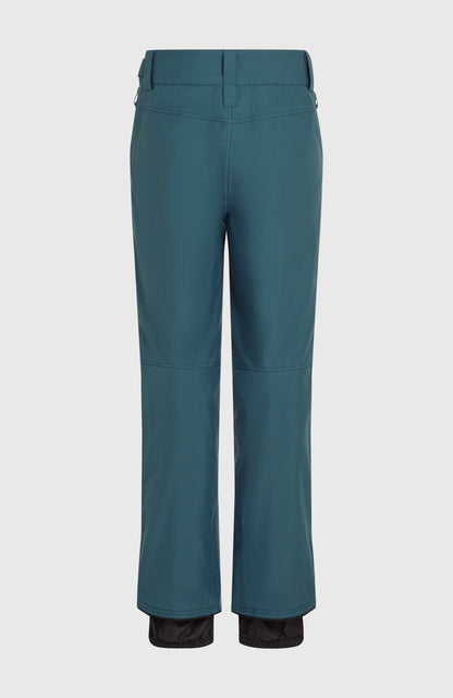Hammer Regular Snow Pants Men Alma Steel