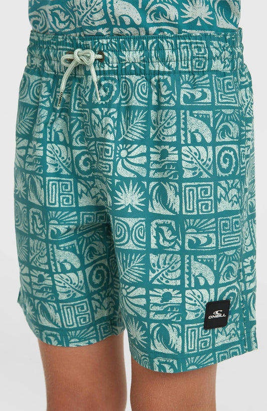 O'Neill Print Swimshorts Kids Blue Bricks