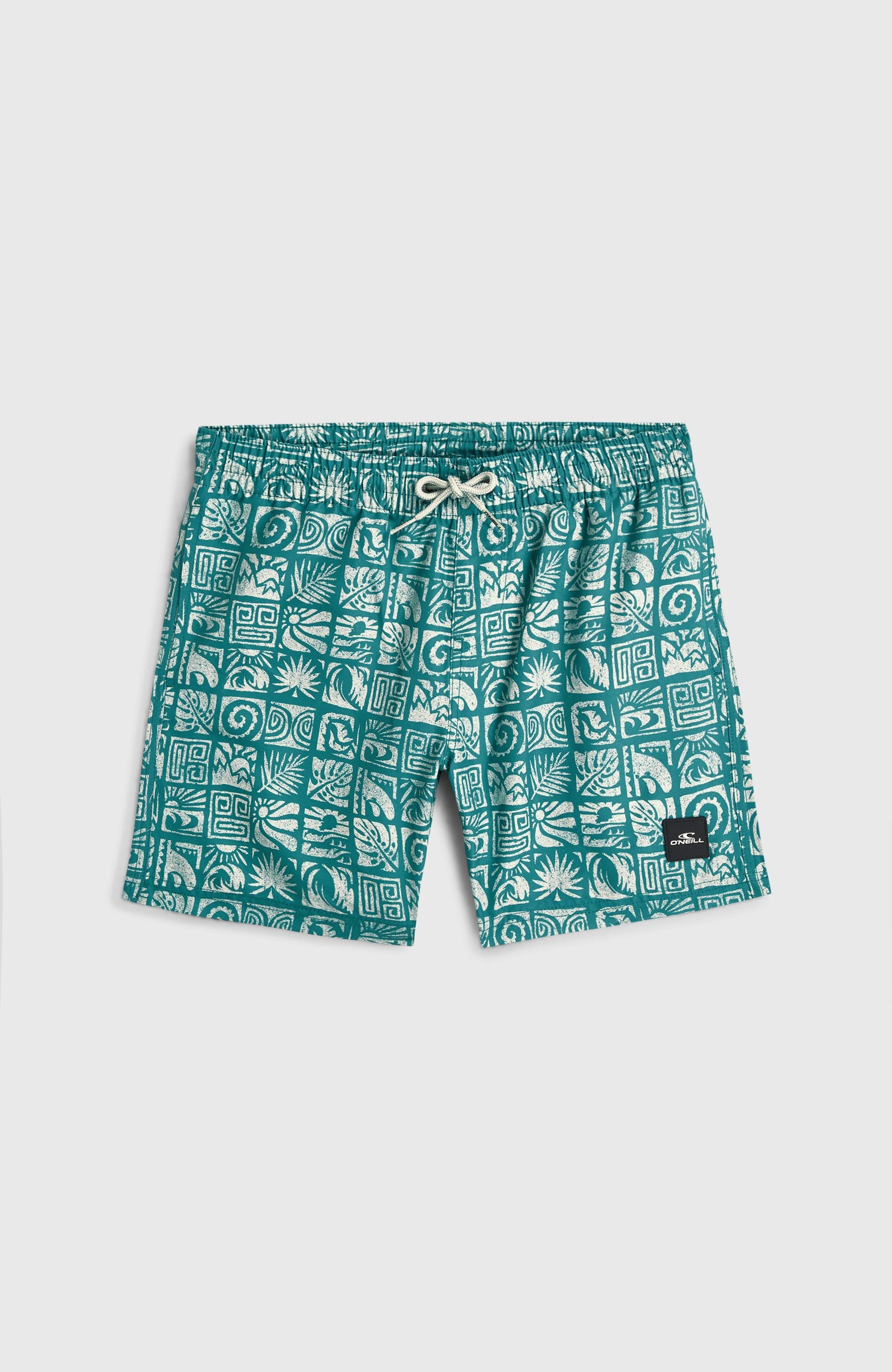 O'Neill Print Swimshorts Kids Blue Bricks