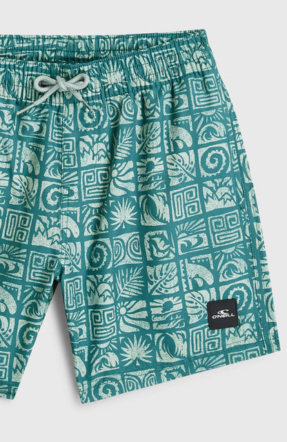 O'Neill Print Swimshorts Kids Blue Bricks