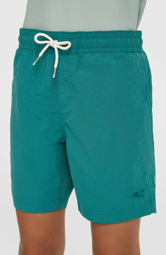 O'Neill Vert Swimshorts Kids Botanical Heat