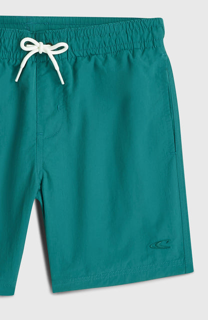 O'Neill Vert Swimshorts Kids Botanical Heat
