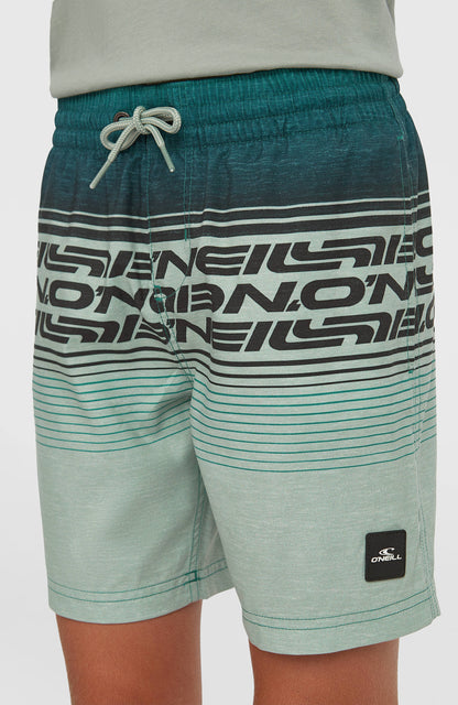 O'Neill Logo Stripe Swimshorts Kids Boys Green Heritage O'Neill