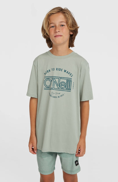 O'Neill Logo Stripe Swimshorts Kids Boys Green Heritage O'Neill