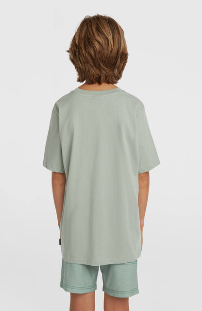 O'Neill Logo Stripe Swimshorts Kids Boys Green Heritage O'Neill