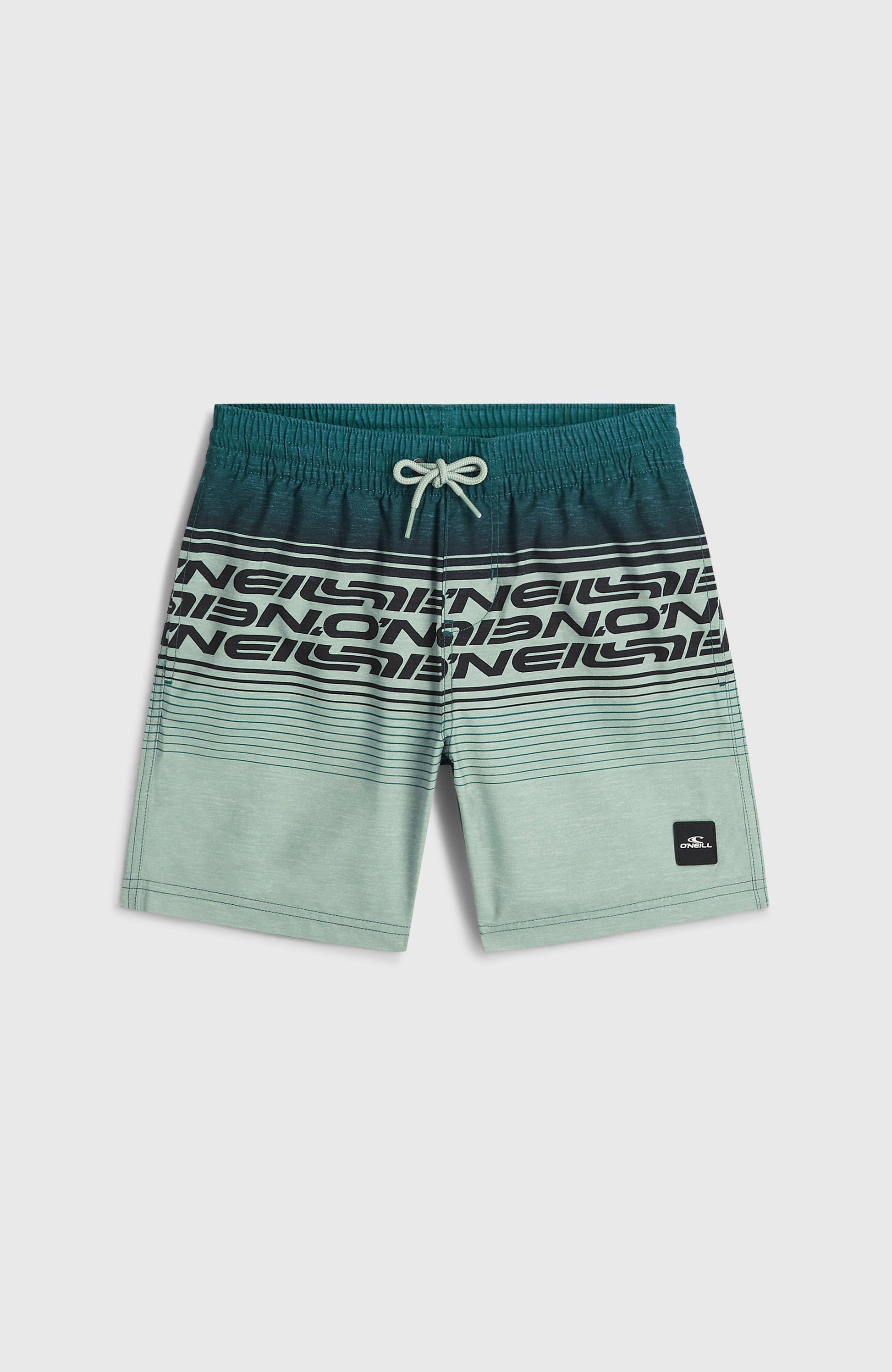 O'Neill Logo Stripe Swimshorts Kids Boys Green Heritage O'Neill