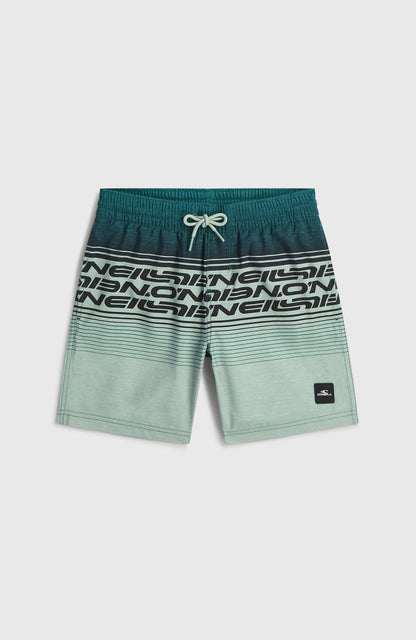 O'Neill Logo Stripe Swimshorts Kids Boys Green Heritage O'Neill