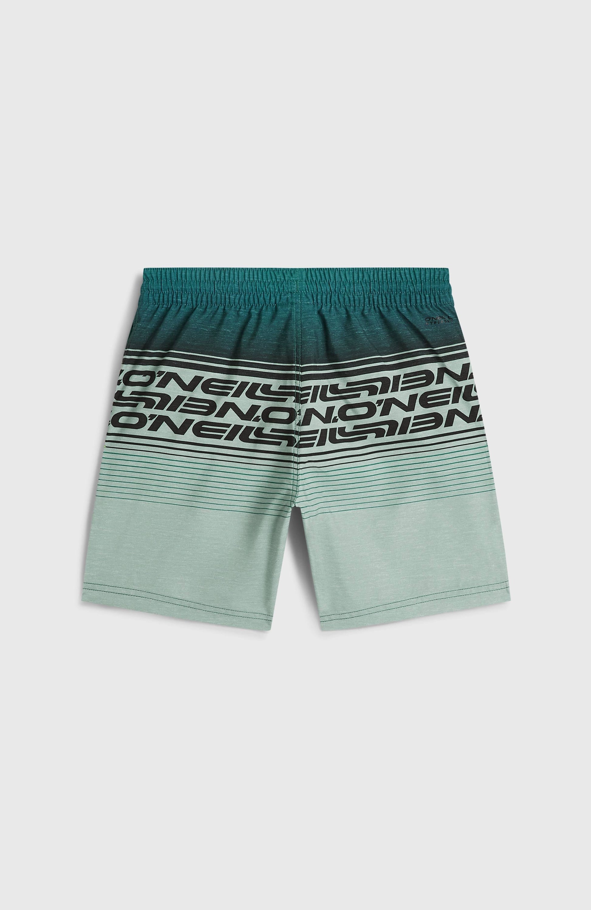 O'Neill Logo Stripe Swimshorts Kids Boys Green Heritage O'Neill