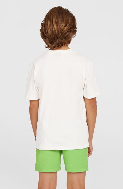 Vert 14'' Swim Shorts Kids Paradise Valley