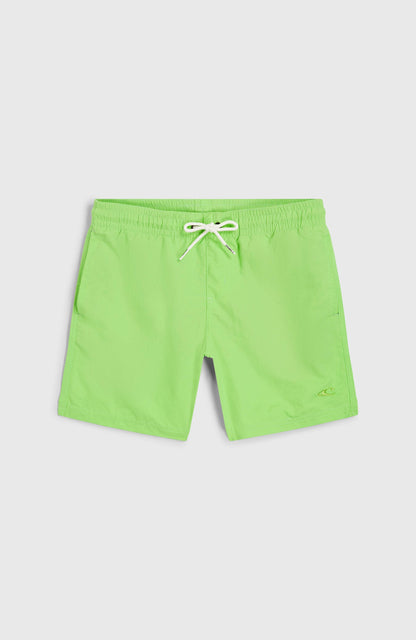 Vert 14'' Swim Shorts Kids Paradise Valley