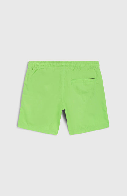 Vert 14'' Swim Shorts Kids Paradise Valley