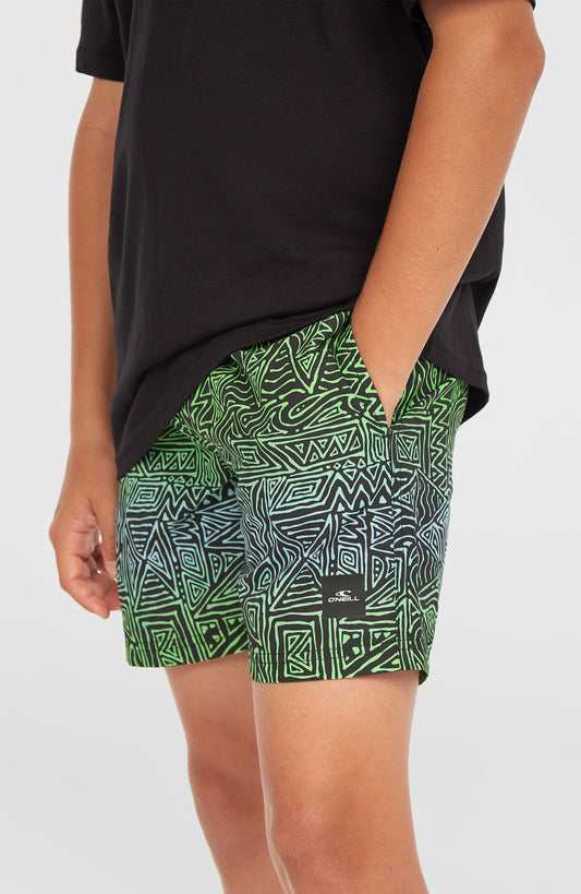 Cali 14'' Swim Shorts Kids Blue Gradikat