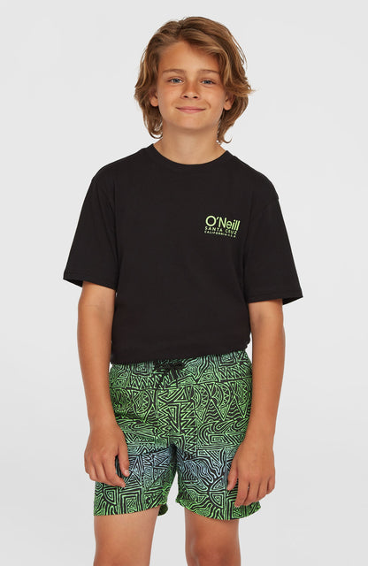 Cali 14'' Swim Shorts Kids Blue Gradikat
