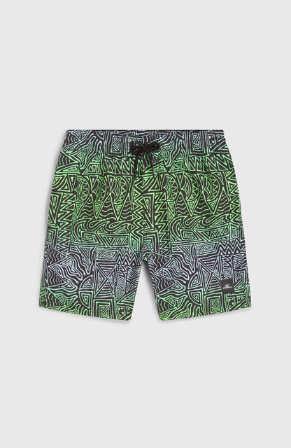 Cali 14'' Swim Shorts Kids Blue Gradikat