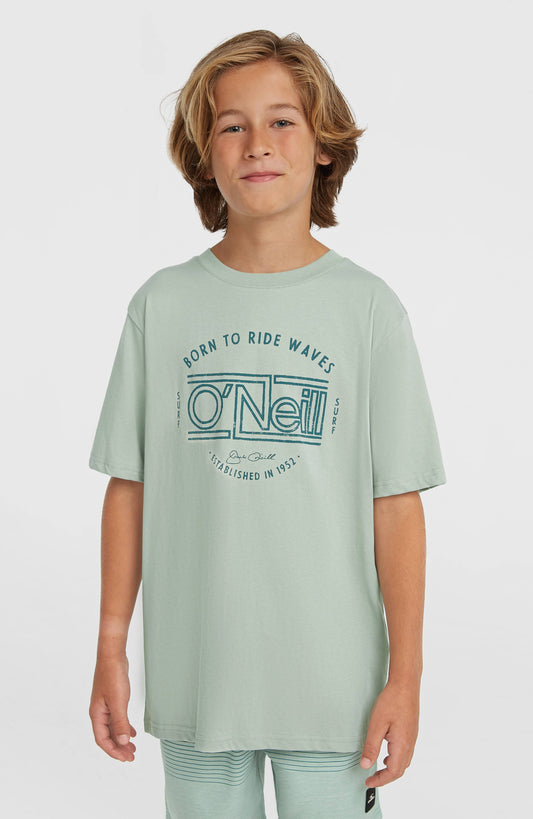 O'Neill Muir T-Shirt Kids Marble Arch