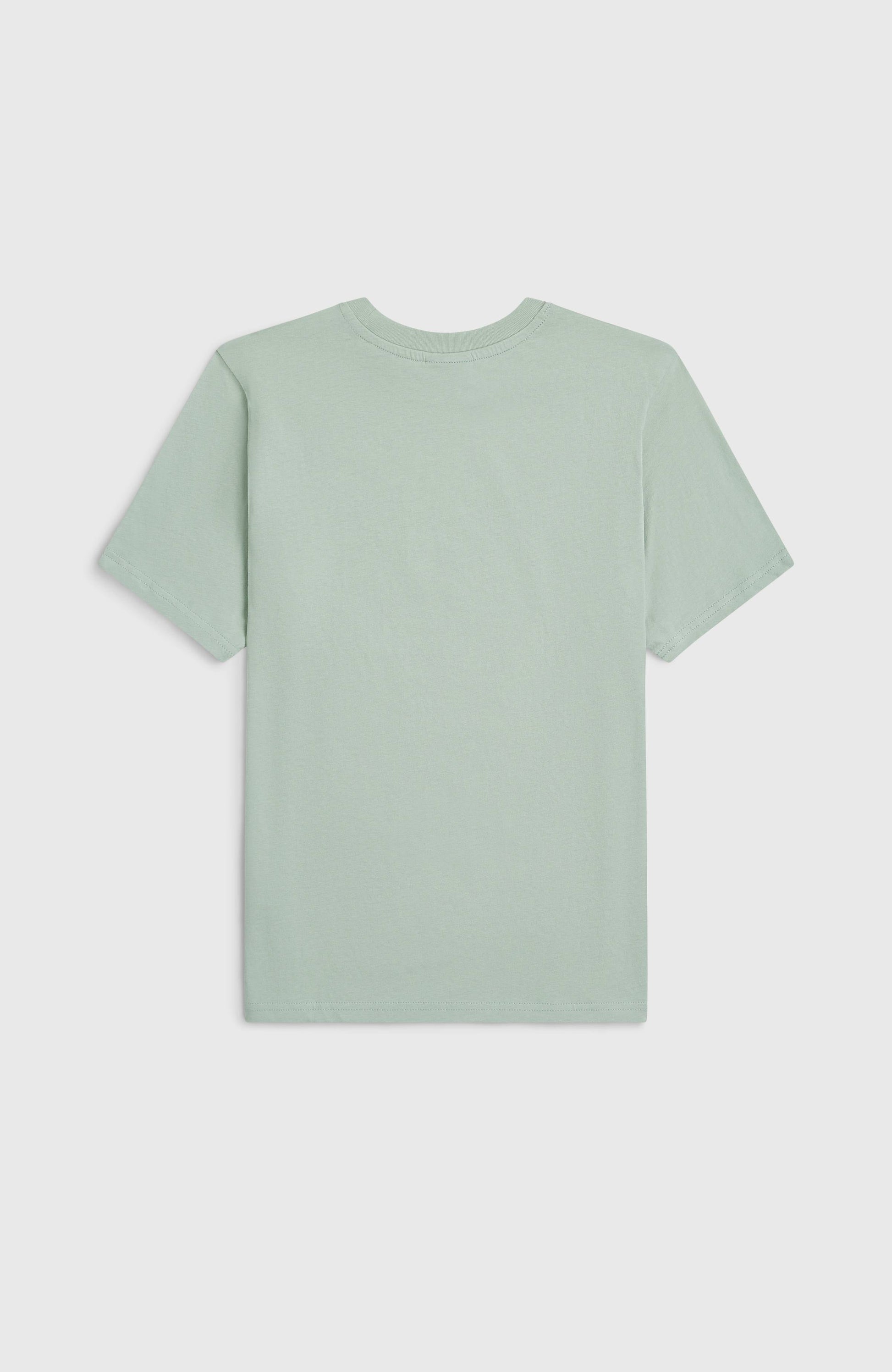 O'Neill Muir T-Shirt Kids Marble Arch