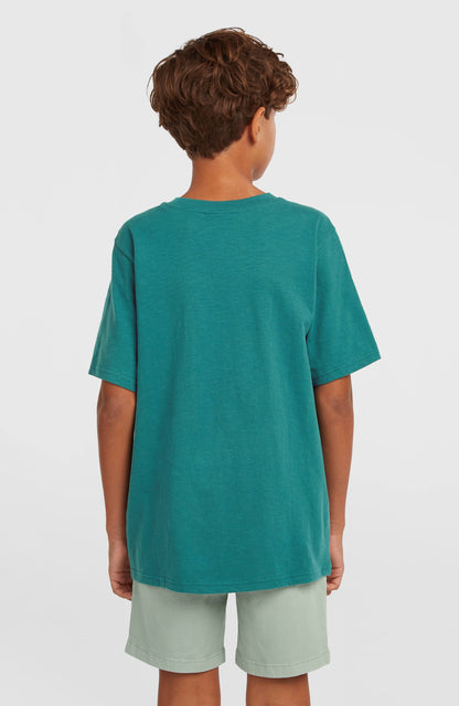 Slub Graphic T-Shirt Kids Botanical Heat