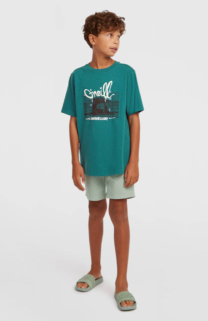 Slub Graphic T-Shirt Kids Botanical Heat