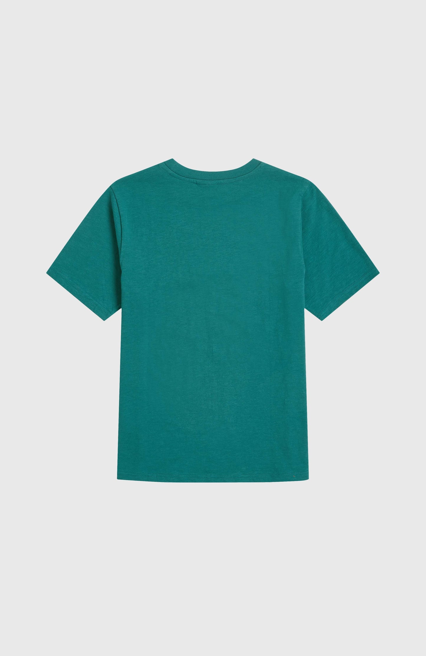 Slub Graphic T-Shirt Kids Botanical Heat