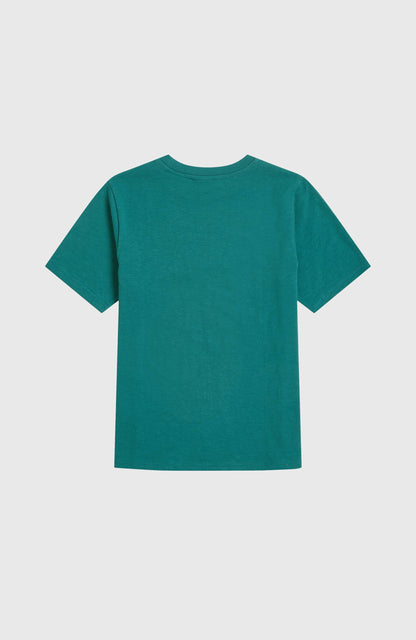 Slub Graphic T-Shirt Kids Botanical Heat