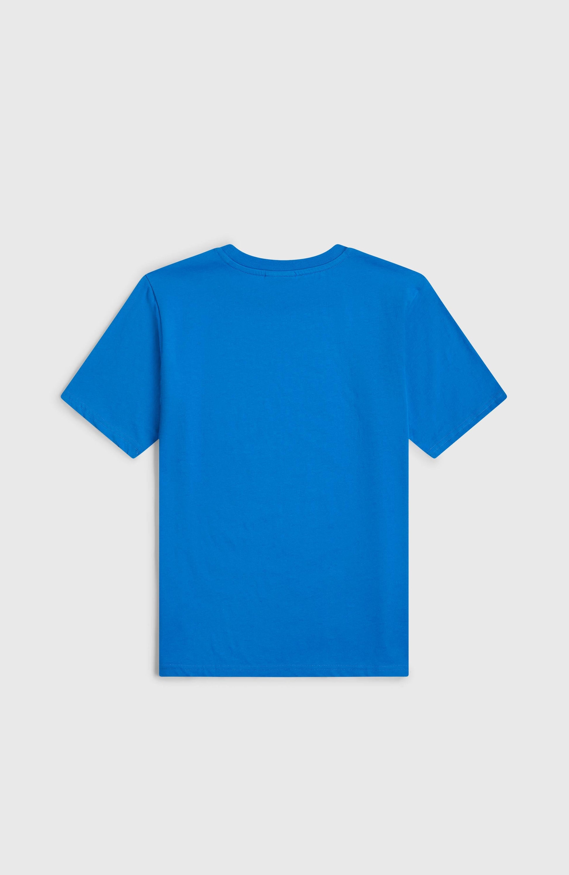 O'Neill Muir T-Shirt Kids Mediterranean Blue