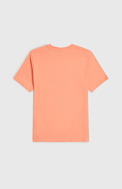 O'Neill Muir T-Shirt Kids Funky Peach
