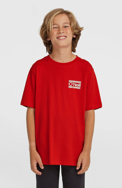 O'Neill Cali T-Shirt Kids High Risk Red