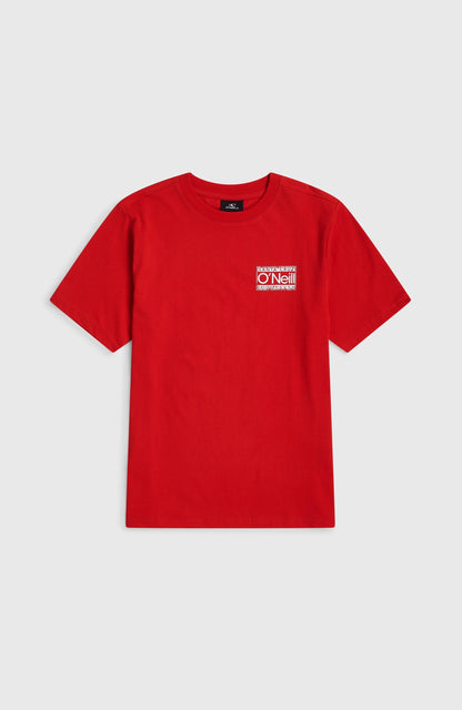 O'Neill Cali T-Shirt Kids High Risk Red