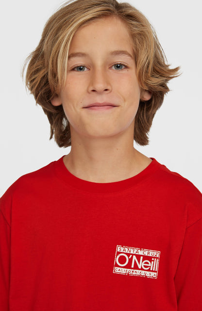 O'Neill Cali T-Shirt Kids High Risk Red