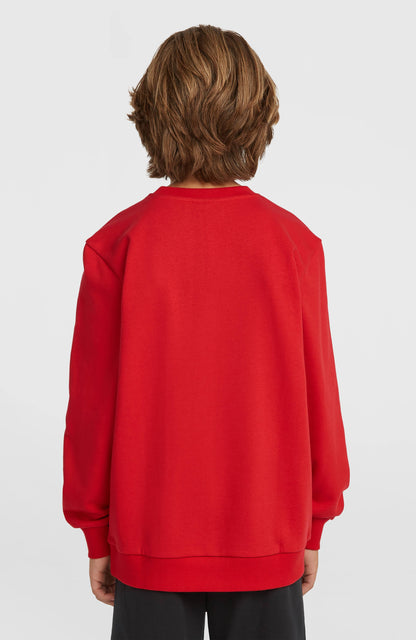 Cali Crew Sweatshirt Kids High Risk Red