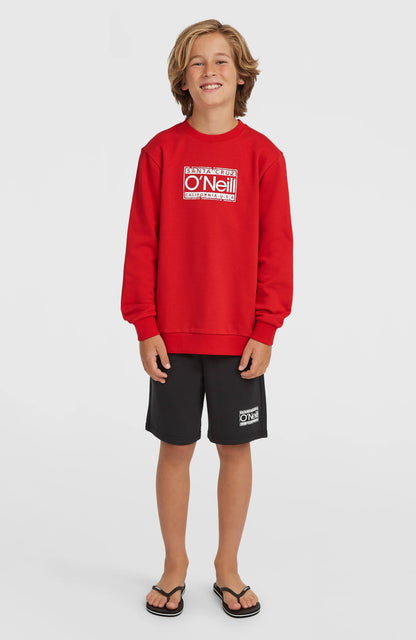 Cali Crew Sweatshirt Kids High Risk Red