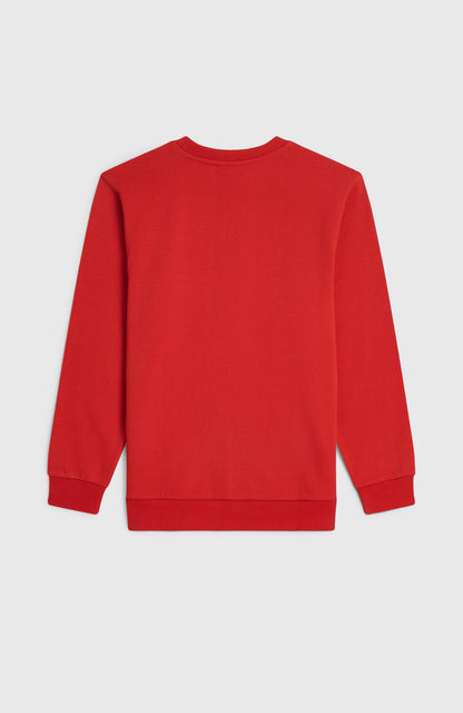 Cali Crew Sweatshirt Kids High Risk Red