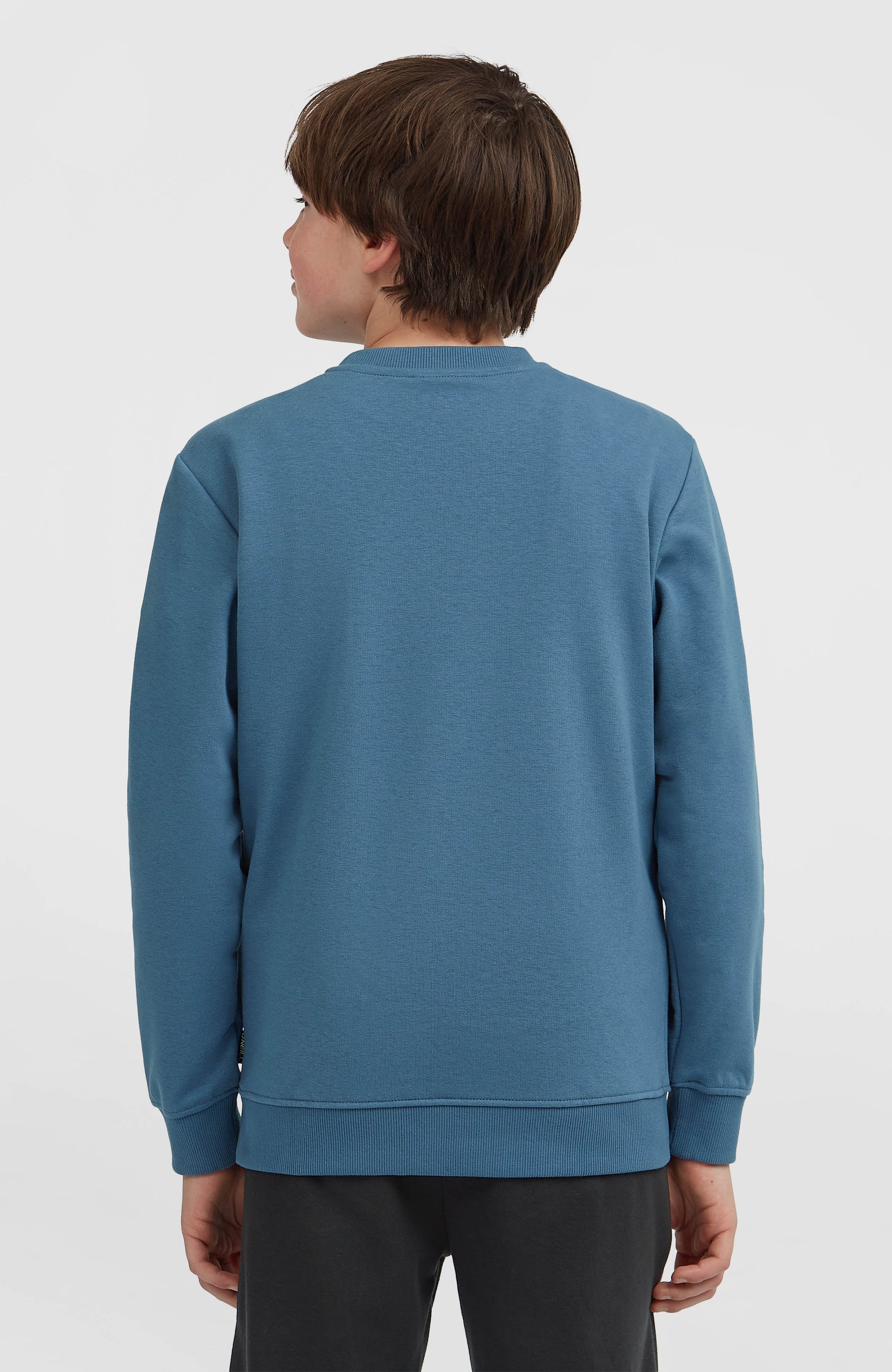 Essentials Crew Sweatshirt Kids Mozart Blue