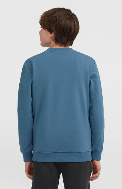 Essentials Crew Sweatshirt Kids Mozart Blue