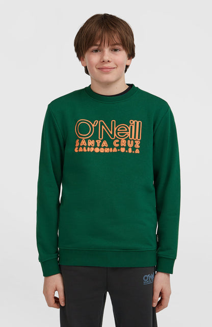 Essentials Crew Sweatshirt Kids Emerald Envy