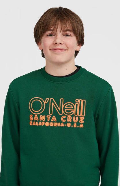 Essentials Crew Sweatshirt Kids Emerald Envy